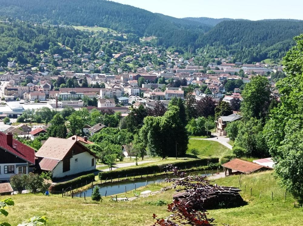 Chalet De Standing 14 Personnes Gerardmer Bagian luar foto